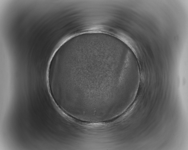 X0000098071482200804110912