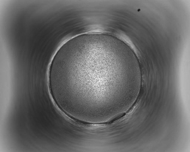 X0000098071483200804110912