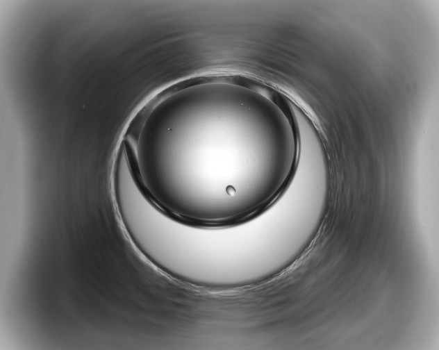 X0000098071484200804110912