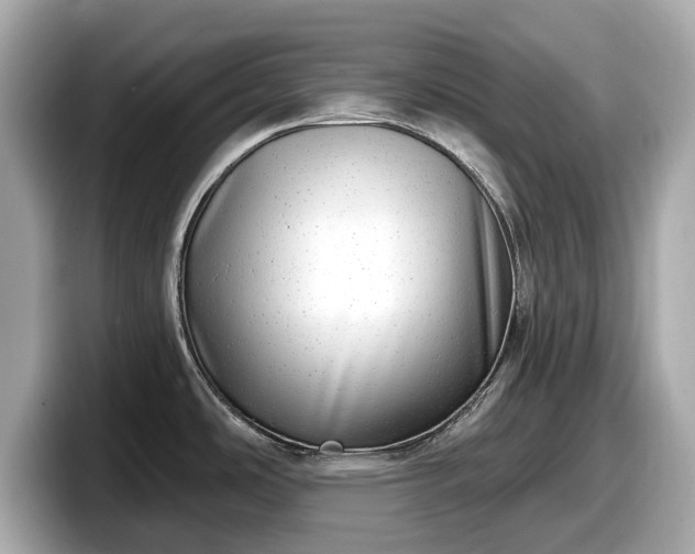 X0000098071486200804110912