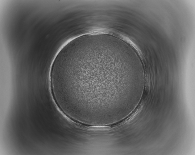 X0000098071487200804110912