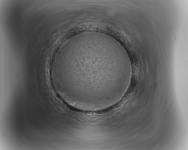 X0000098071489200804110912