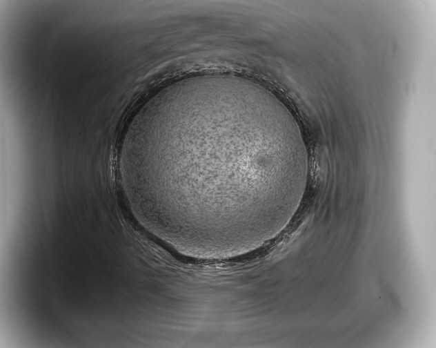 X0000098071490200804110912