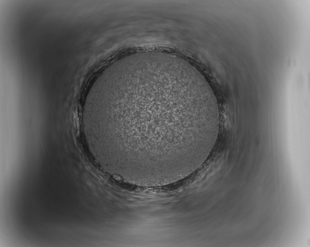 X0000098071493200804110912