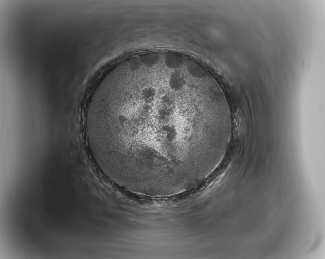 X0000098071494200804110912