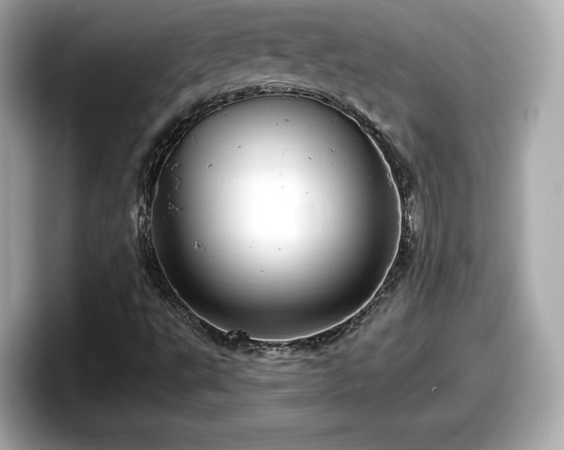 X0000098071495200804110912