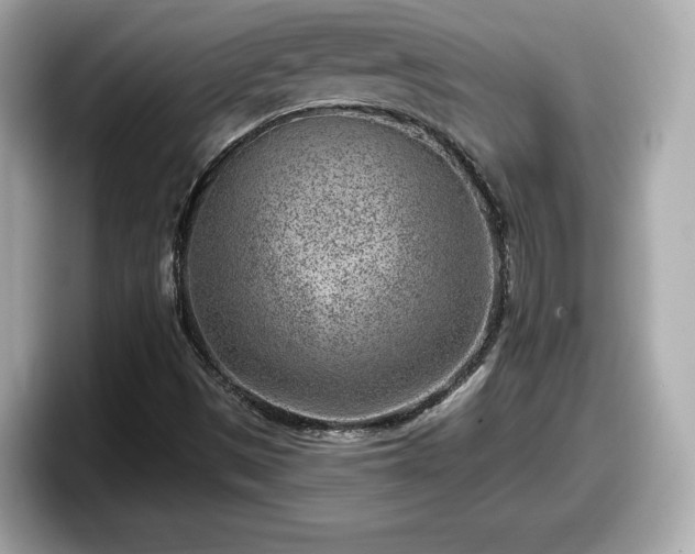 X0000098071497200804110912