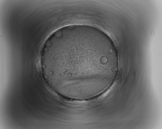 X0000098071498200804110912