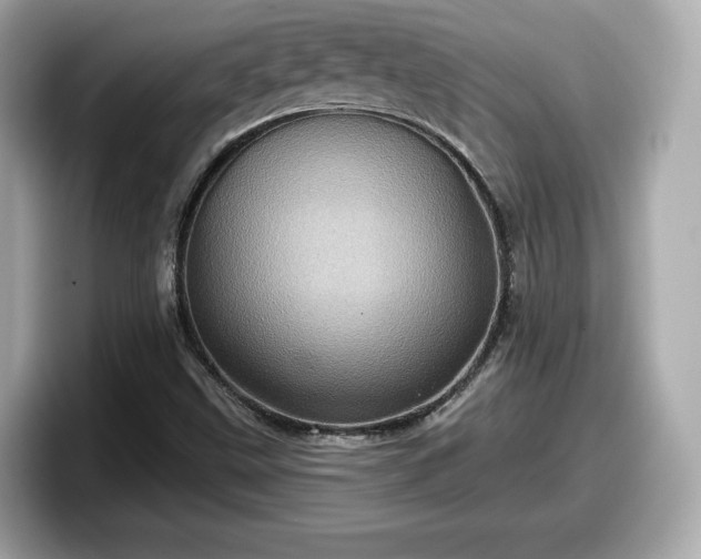 X0000098071499200804110912