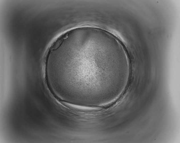 X0000098071504200804110912