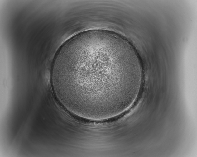 X0000098071505200804110912