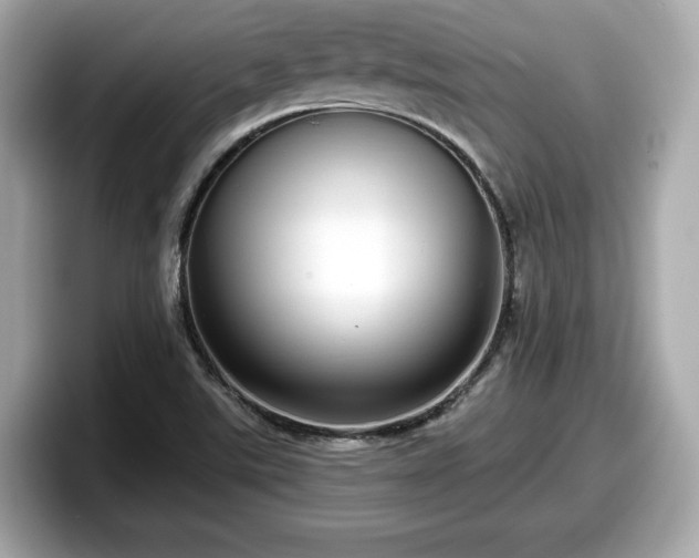 X0000098071507200804110912