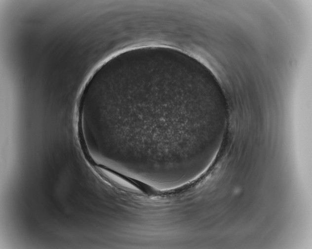 X0000098071508200804110912