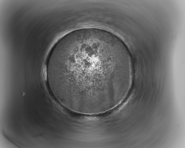 X0000098071509200804110912