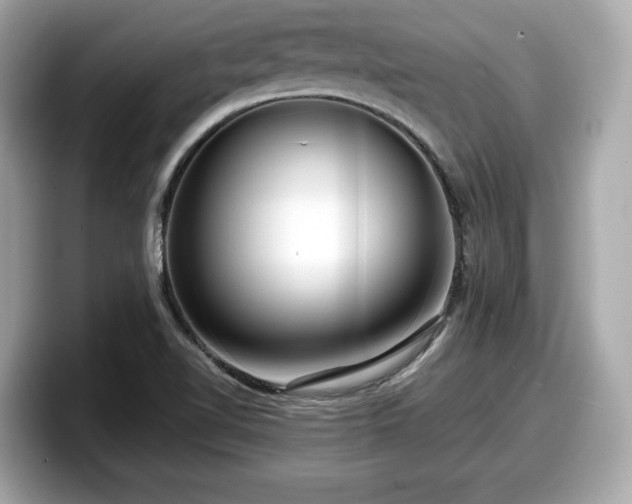 X0000098071510200804110912