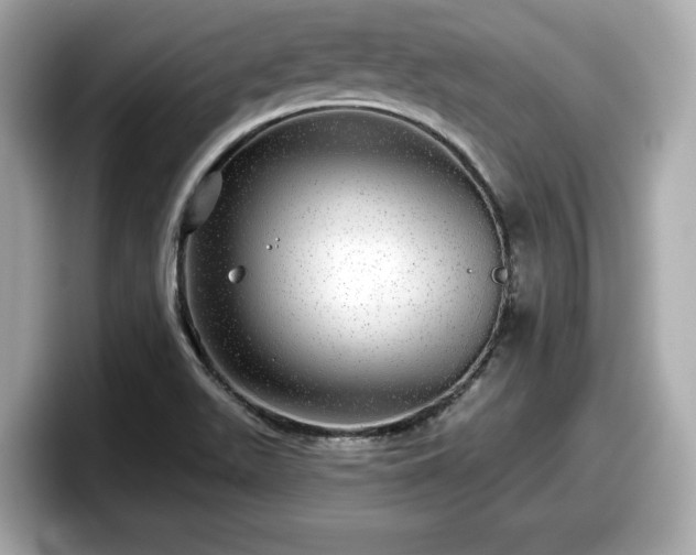 X0000098071511200804110912