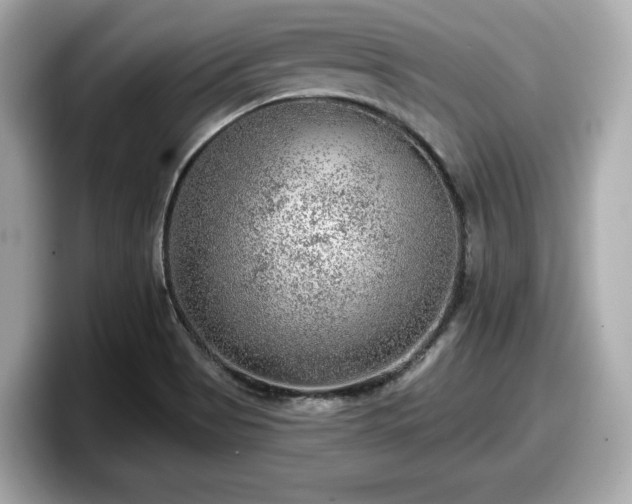 X0000098071513200804110912