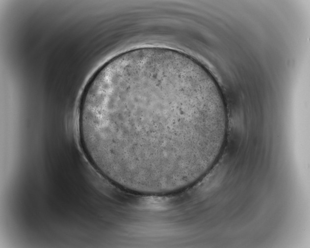 X0000098071514200804110912