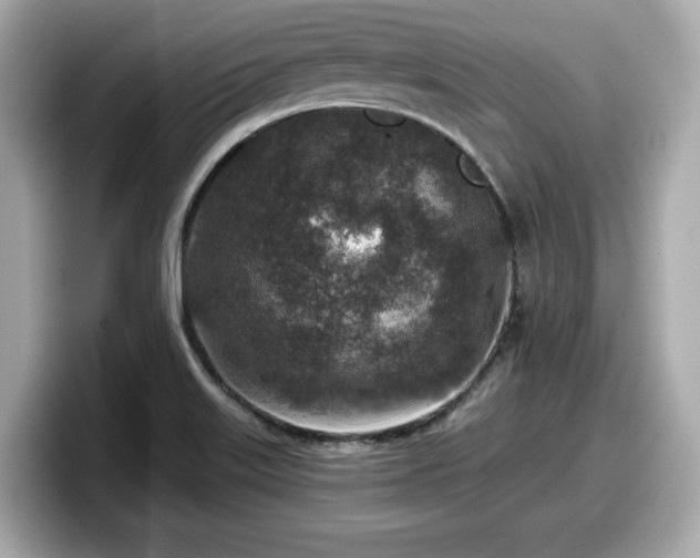 X0000098071515200804110912