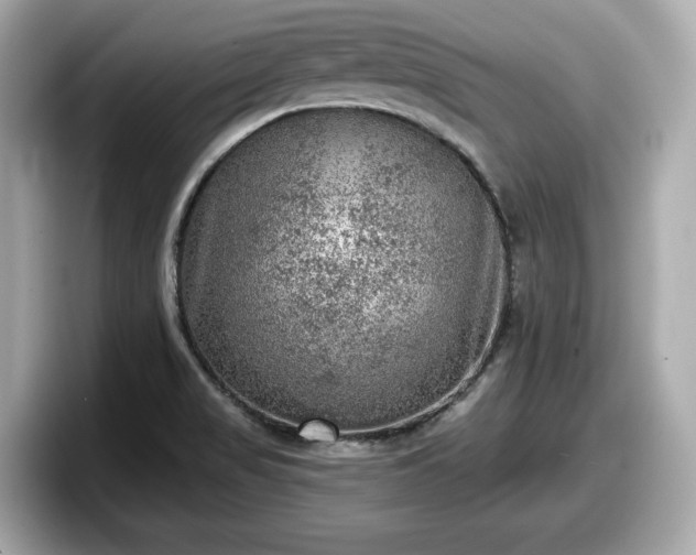 X0000098071517200804110912