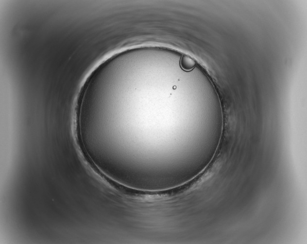 X0000098071518200804110912