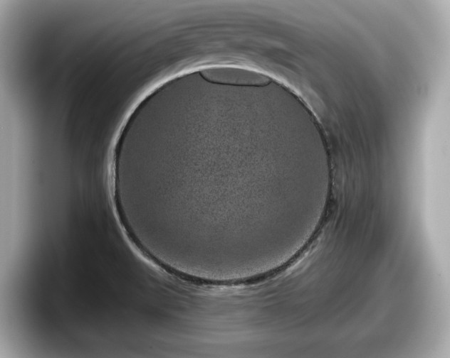 X0000098071519200804110912