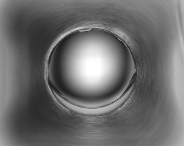 X0000098071520200804110912