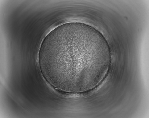 X0000098071521200804110912