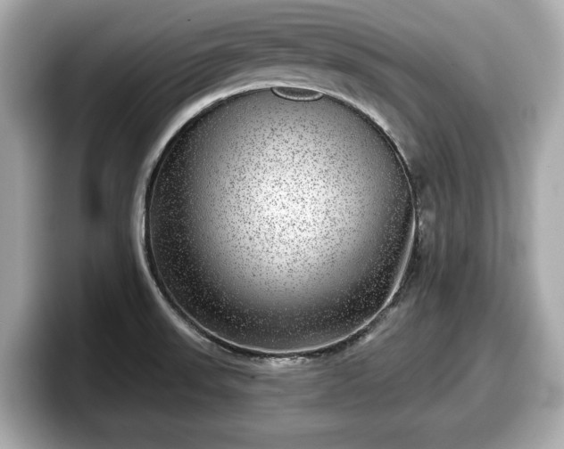 X0000098071523200804110912