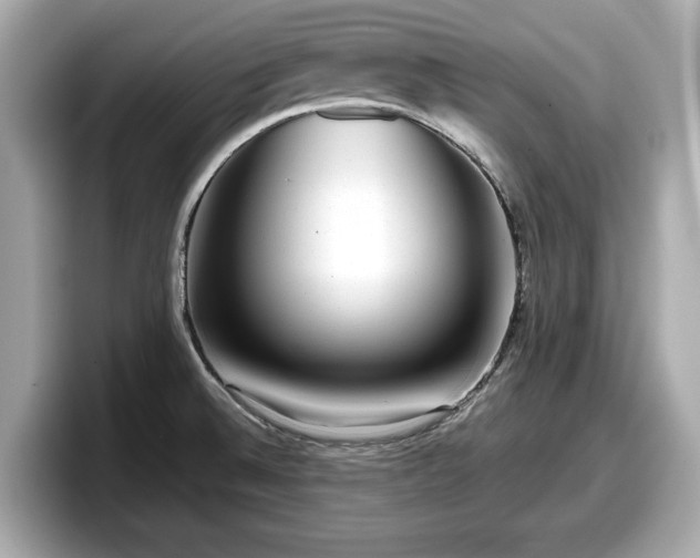 X0000098071524200804110912