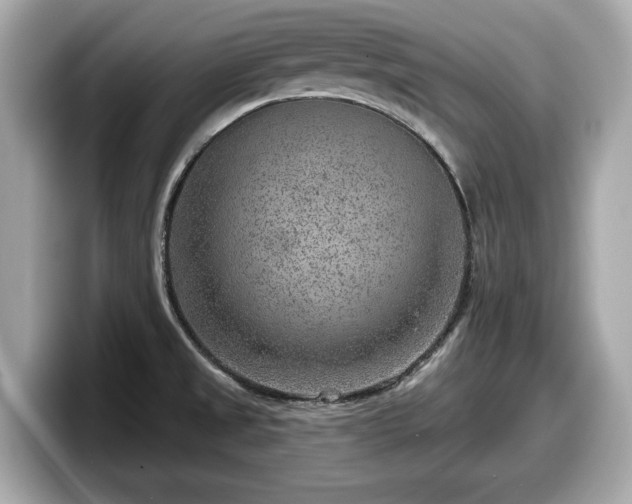 X0000098071525200804110912