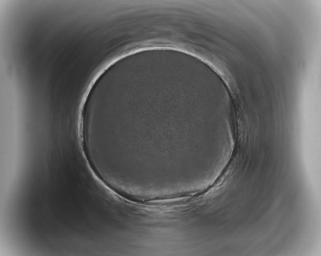 X0000098071527200804110912