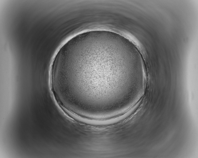 X0000098071528200804110912