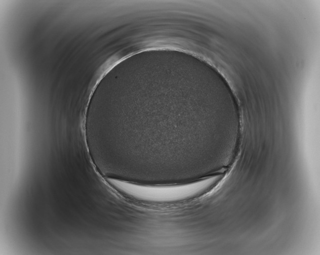 X0000098071529200804110912