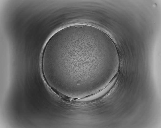 X0000098071530200804110912