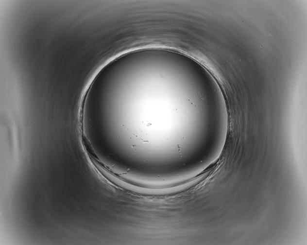 X0000098071532200804110912