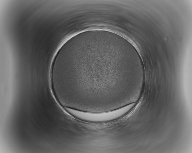 X0000098071533200804110912