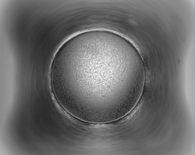 X0000098071534200804110912