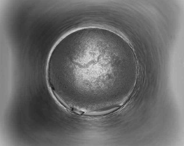 X0000098071536200804110912