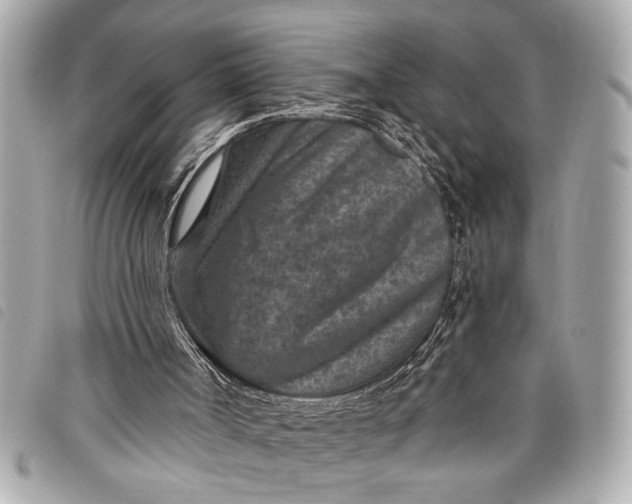 X0000098070002200804181145