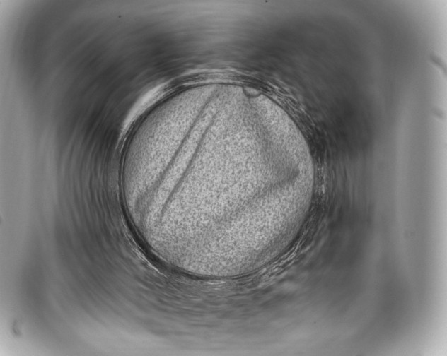 X0000098070004200804181145