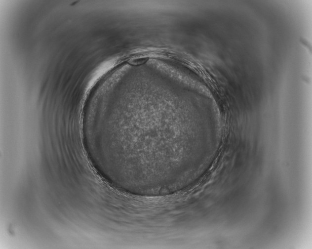 X0000098070006200804181145