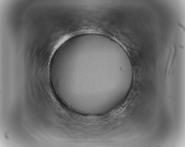 X0000098070008200804181145