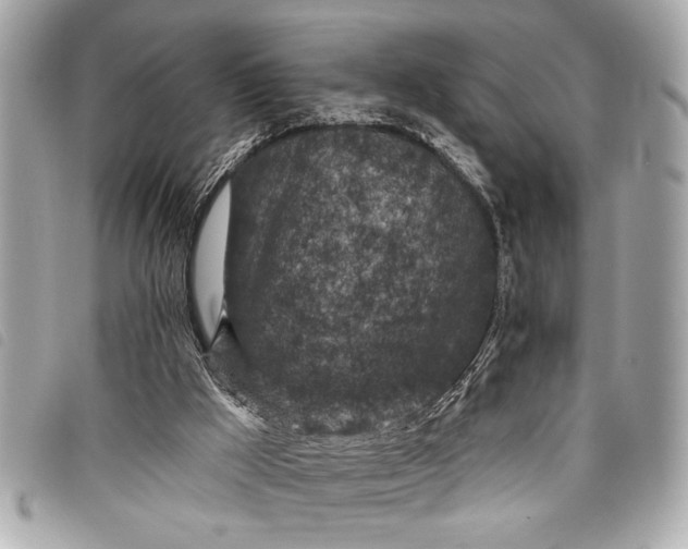 X0000098070009200804181145