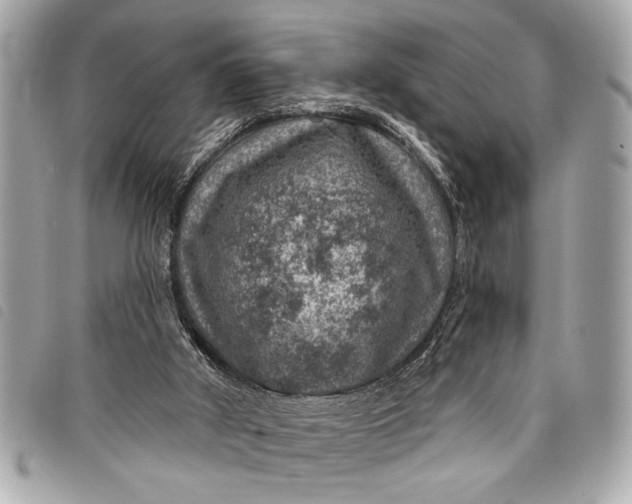 X0000098070010200804181145