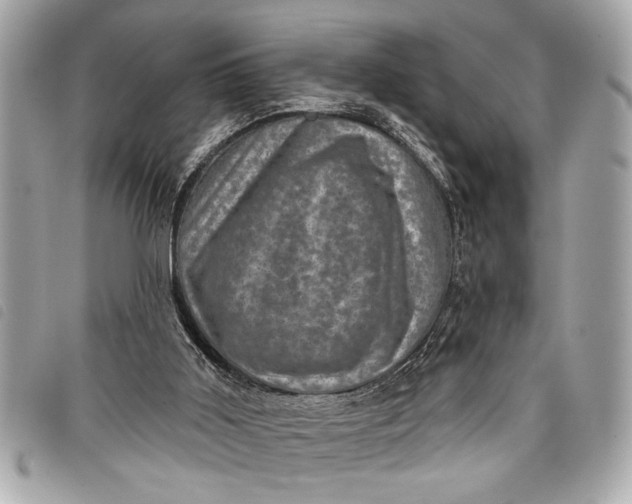 X0000098070011200804181145