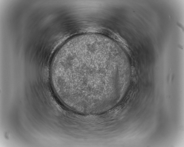 X0000098070012200804181145