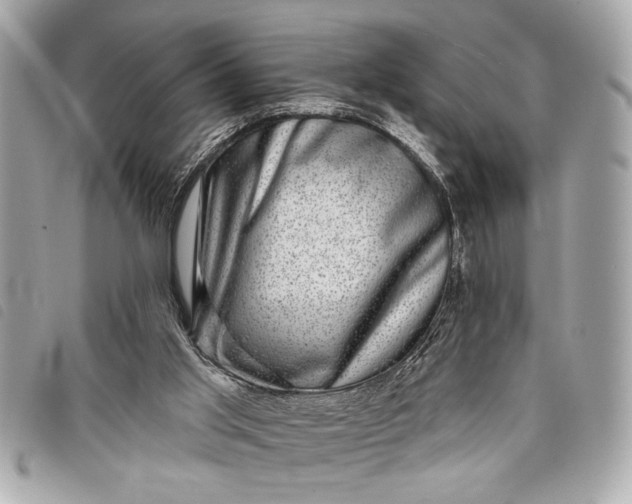 X0000098070013200804181145