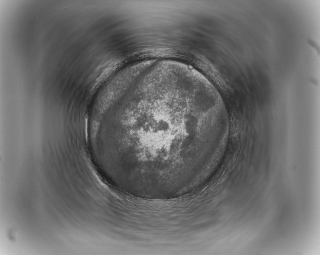 X0000098070014200804181145