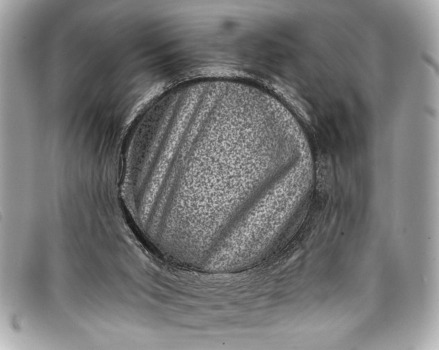 X0000098070015200804181145